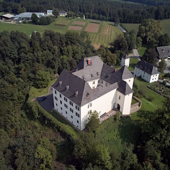 Luftaufnahme Schloss Burgstall